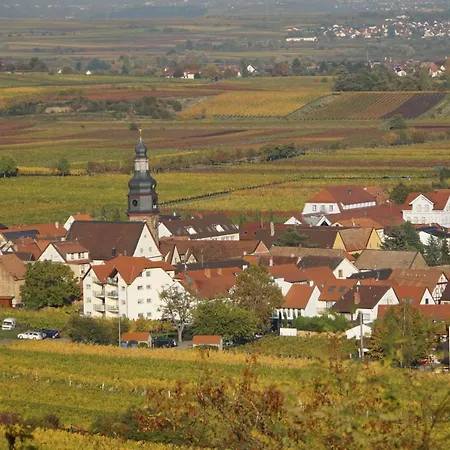 Apartment Knittel Kallstadt