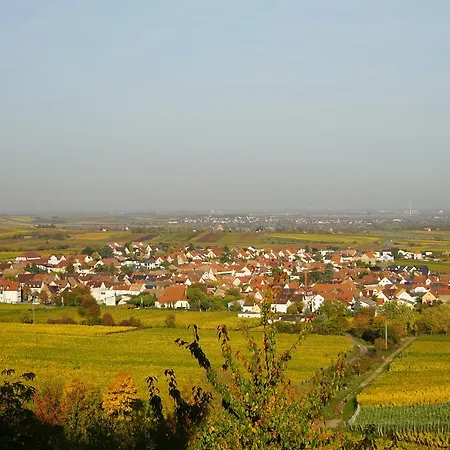 Apartment Knittel Kallstadt