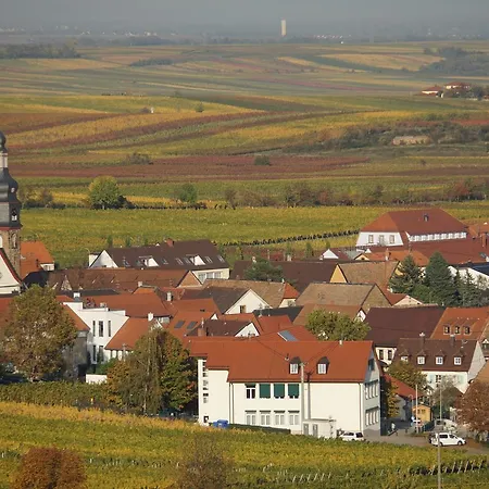 Knittel Apartment Kallstadt