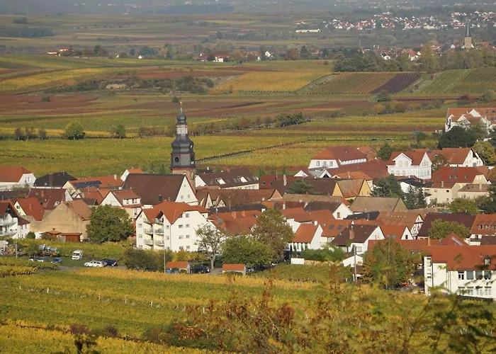 Apartamento Knittel Kallstadt