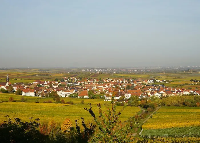 Apartment Knittel Kallstadt