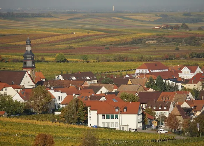 Knittel Apartment Kallstadt